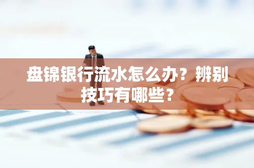 盘锦银行流水怎么办？辨别技巧有哪些？